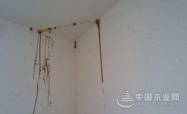 房子漏水要怎么解决?(图1) 房子漏水要怎么解决?