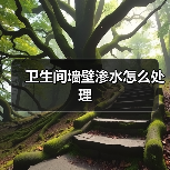 卫生间墙壁渗水怎么处理(图1) 卫生间墙壁渗水怎么处理(图1)