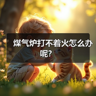 煤气炉打不着火怎么办呢？（图4）