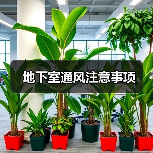 地下室通风注意事项(图4) 地下室通风注意事项(图4)