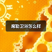 席勒卫浴怎么样(图3) 席勒卫浴怎么样(图3)