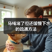 马桶堵了但还缓慢下水的疏通方法(图1) 马桶堵了但还缓慢下水的疏通方法(图1)