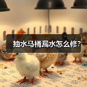 抽水马桶漏水怎么修？（图1）