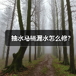 抽水马桶漏水怎么修？（图3）