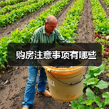 购房注意事项有哪些(图1) 购房注意事项有哪些(图1)