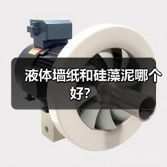 液体墙纸和硅藻泥哪个好？（图4）