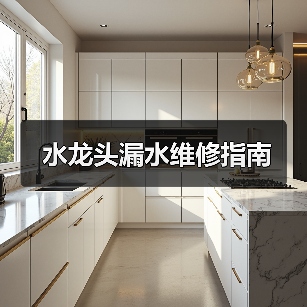 水龙头漏水维修指南(图2) 水龙头漏水维修指南(图2)