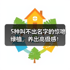 5种叫不出名字的惊艳绿植,养出高级感!(图4) 5种叫不出名字的惊艳绿植,养出高级感!(图4)