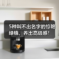 5种叫不出名字的惊艳绿植,养出高级感!(图2) 5种叫不出名字的惊艳绿植,养出高级感!(图2)
