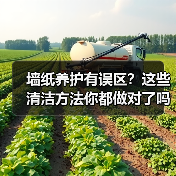 墙纸养护有误区？这些清洁方法你都做对了吗？（图1）