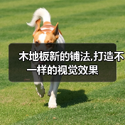 木地板新的铺法,打造不一样的视觉效果(图1) 木地板新的铺法,打造不一样的视觉效果(图1)