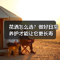 花洒怎么选？做好日常养护才能让它更长寿（图1）