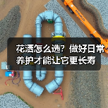 花洒怎么选？做好日常养护才能让它更长寿（图3）
