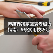 养猫养狗家庭装修避坑指南：9条实用技巧让生活更省心（图1）