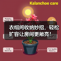 衣帽间收纳妙招,轻松扩容让房间更敞亮!(图3) 衣帽间收纳妙招,轻松扩容让房间更敞亮!(图3)