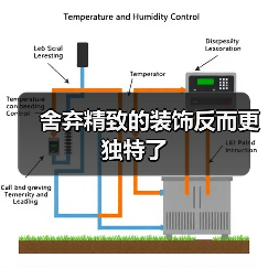 舍弃精致的装饰反而更独特了(图2) 舍弃精致的装饰反而更独特了(图2)