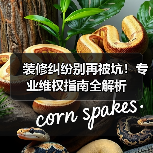 装修纠纷别再被坑!专业维权指南全解析(图3) 装修纠纷别再被坑!专业维权指南全解析(图3)