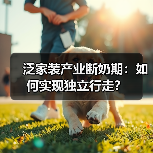 泛家装产业断奶期:如何实现独立行走?(图4) 泛家装产业断奶期:如何实现独立行走?(图4)
