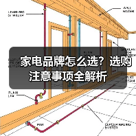 家电品牌怎么选?选购注意事项全解析(图4) 家电品牌怎么选?选购注意事项全解析(图4)