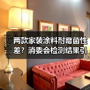 两款家装涂料耐霉菌性差?消委会检测结果引关注(图3) 两款家装涂料耐霉菌性差?消委会检测结果引关注(图3)