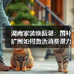 湖南家装焕新潮:国补扩围如何激活消费潜力?(图3) 湖南家装焕新潮:国补扩围如何激活消费潜力?(图3)