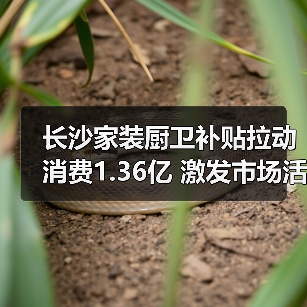长沙家装厨卫补贴拉动消费1.36亿 激发市场活力（图1）